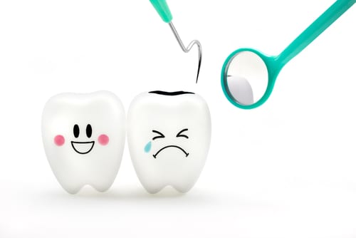 Proactive dental care keeps teeth healthy and happy