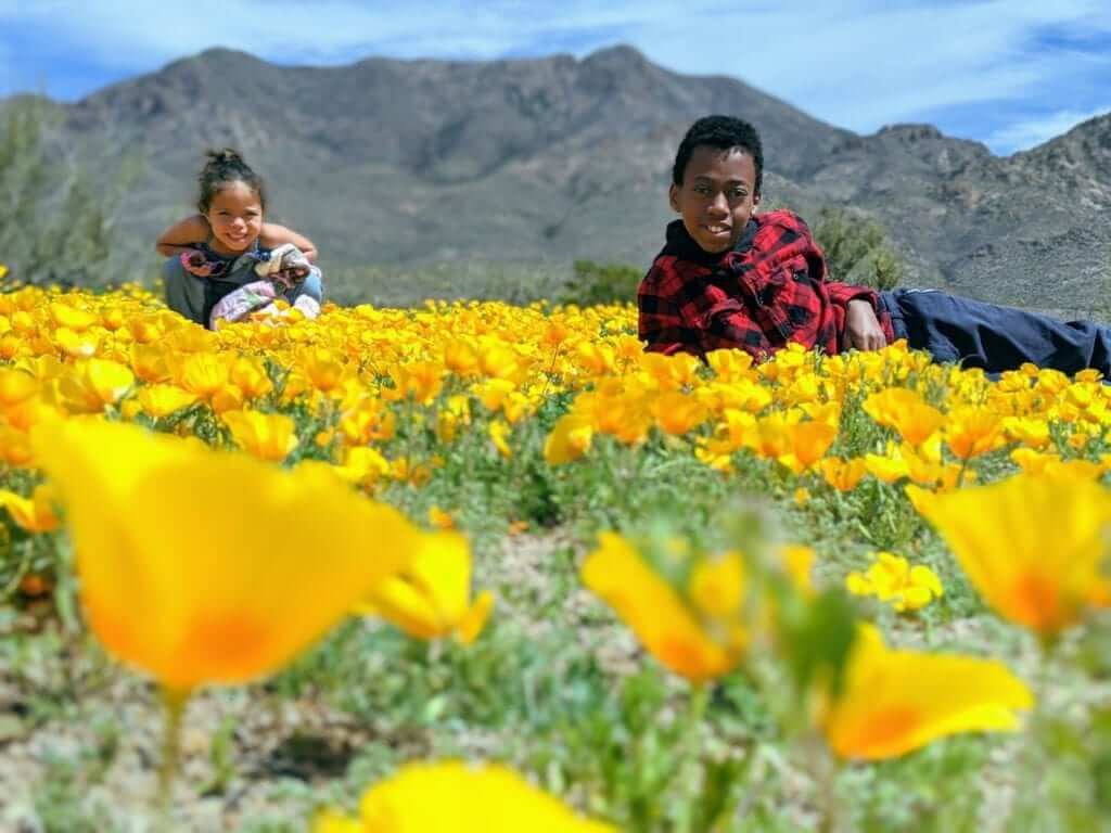 Happy children relaxing in a poppy field.